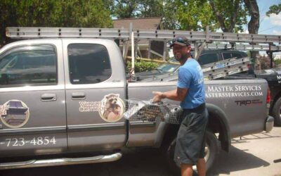 Wildlife Removal in Houston by Brian