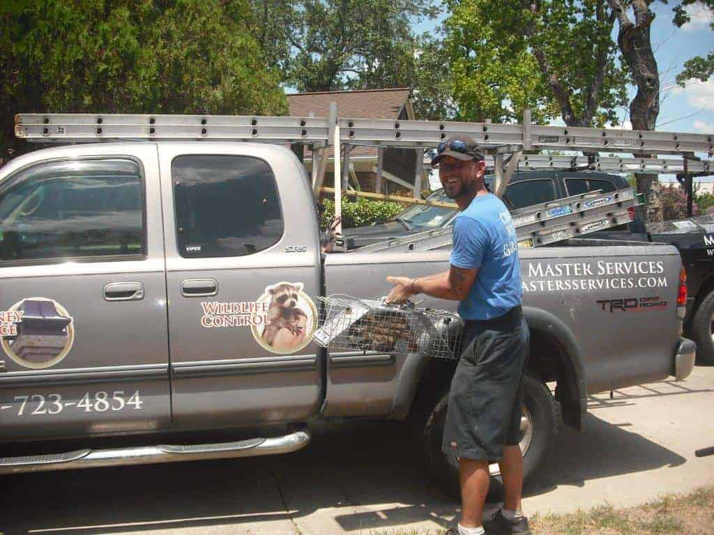 Wildlife Removal in Houston by Brian