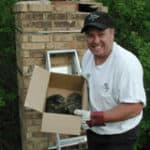 Raccoon Removal From Chimney