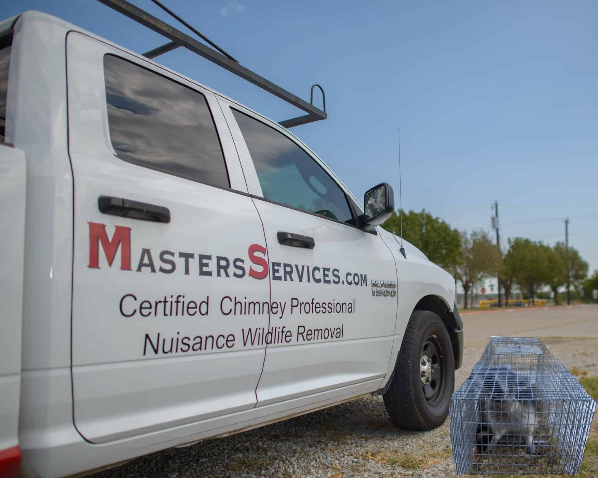 Houston Wildlife removal MS