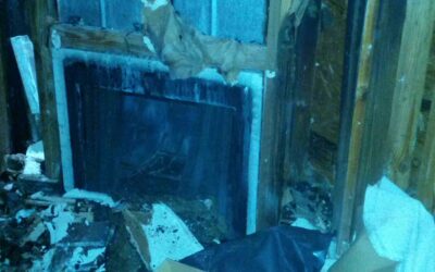 Denver Chimney Inspection