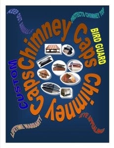 Chimney Cap Infographics