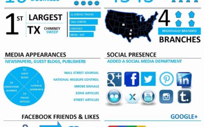 Infographic