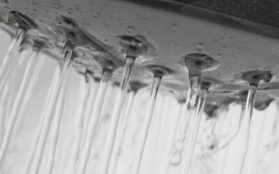 Up-close picture of Water from Shower head