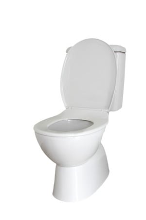 Toilet Repairs by Masters Services