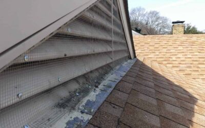 Wildlife Proofing on Roof