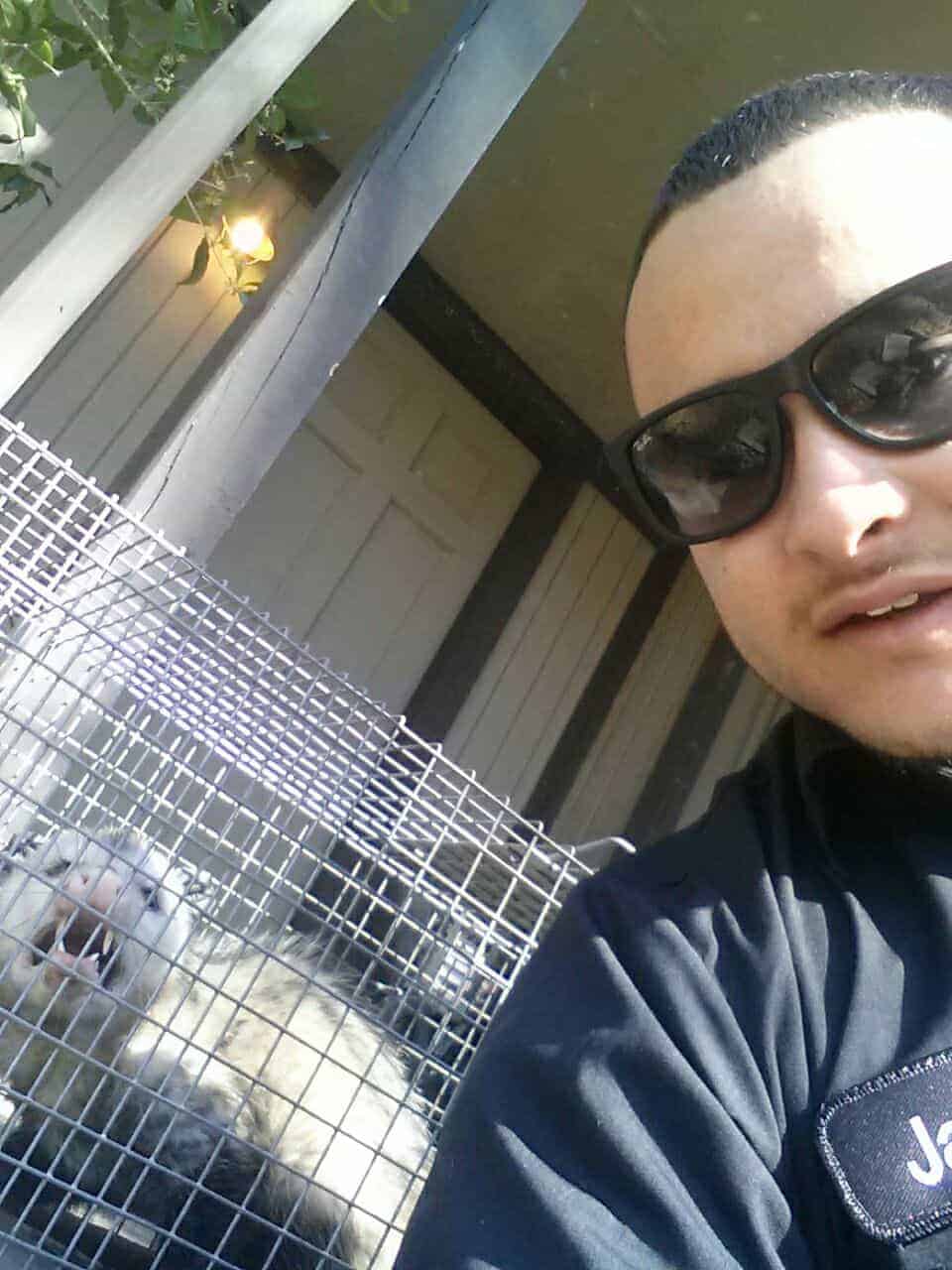 Houston Opossum Removal