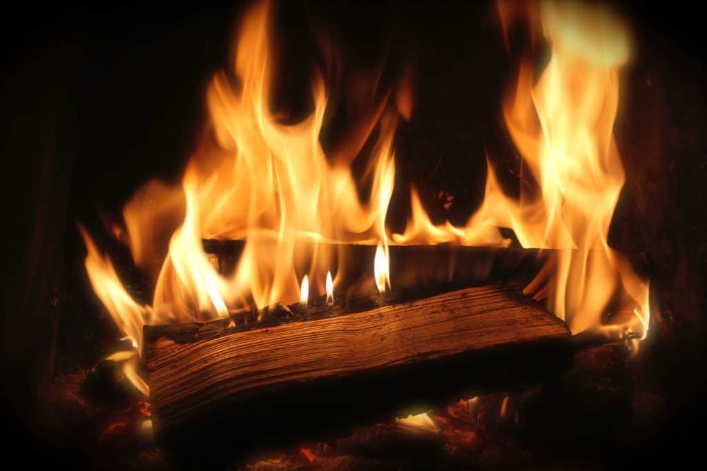Wood Burning Fireplace Repair Service in Dallas, TX