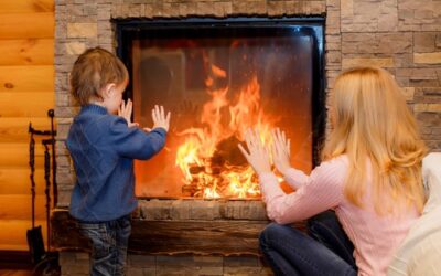 Professional Fireplace and Chimney Service