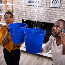 Couple Using Bucket For Collecting Water Leakage From Ceiling Couple Using Bucket For Collecting Water Leakage From Ceiling And Calling Plumber On Cellphone